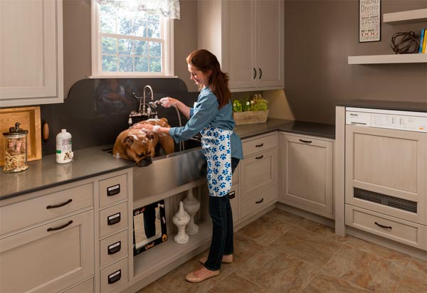 Una cocina adaptada para tu mascota